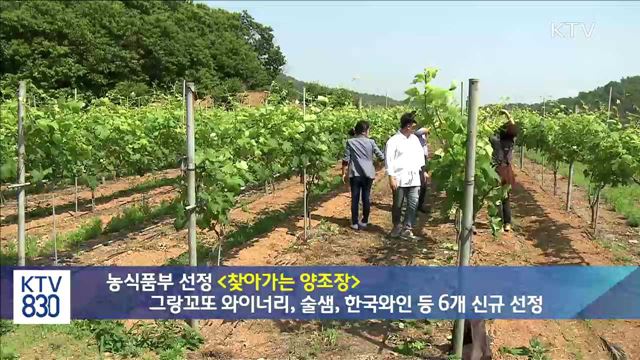 농식품부 선정<찾아가는 양조장> 그랑꼬또 아이너리, 술샘, 한국와인 등 6개 신규 선정