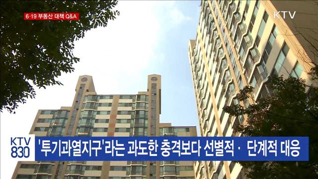 6·19 부동산 대책 Q&A… '투기과열지구' 미룬 까닭은