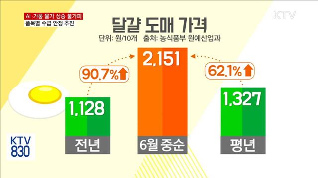 AI·가뭄 등으로 물가상승…품목별 수급 안정 추진
