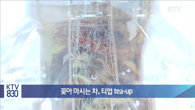 꽂아 마시는 차, 티업 tea-up