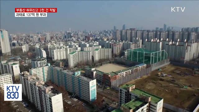 '부동산 다운계약' 등 허위신고 2천 건 적발