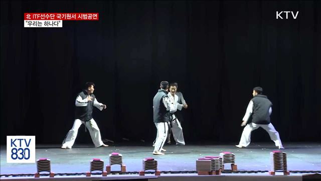 북한 ITF선수단 국기원서 시범공연…"우리는 하나다"