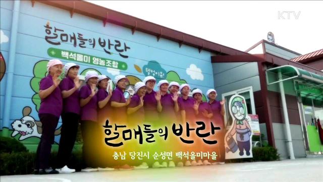 할매들의 반란 / 충남 당진시 순성면 백석올미마을