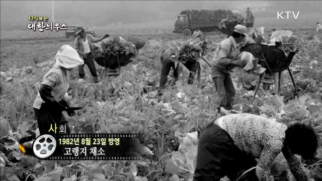 다시보는 대한늬우스 (82.08.23) 이미지