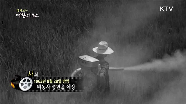 다시보는 대한늬우스 (63.08.28) 이미지