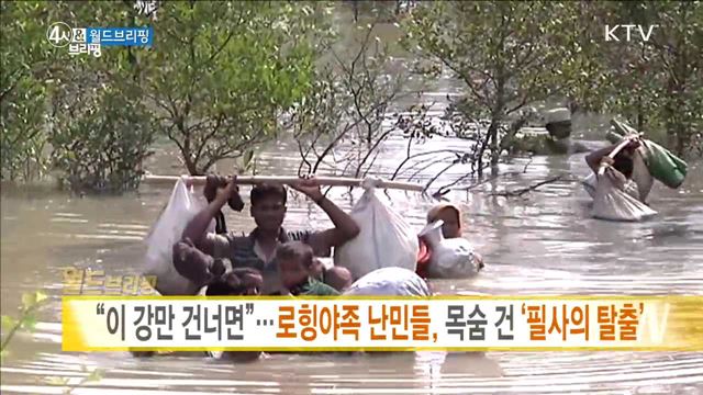 "이 강만 건너면"···로힝야족 난민들, 목숨 건 '필사의 탈출' [월드 브리핑]