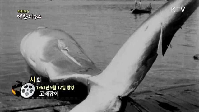 다시보는 대한늬우스 (63.09.12) 이미지
