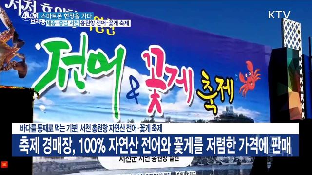 바다를 통째로 먹는 기분! 서천 홍원항 자연산 전어·꽃게 축제