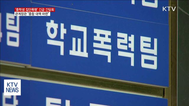 잇따른 10대 집단폭행…정부 "종합 대책 만들겠다"