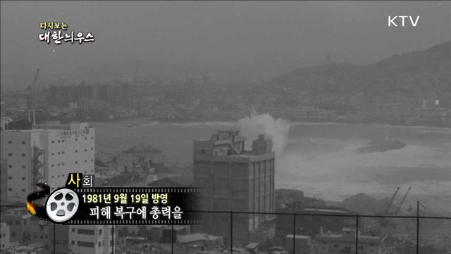 다시보는 대한늬우스 (81.09.19) 이미지