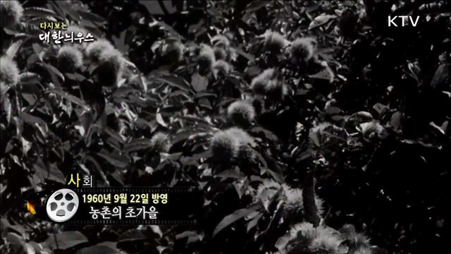 다시보는 대한늬우스 (60.09.22) 이미지