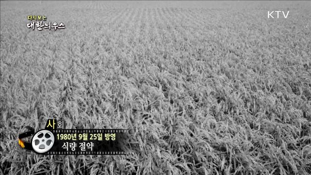 다시보는 대한늬우스 (80.09.25) 이미지