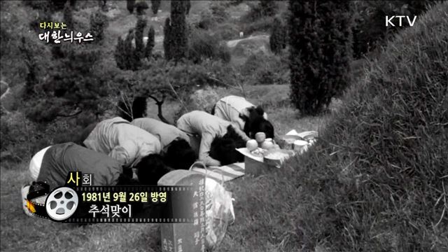 다시보는 대한늬우스 (81.09.26) 이미지