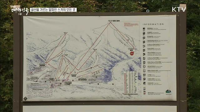 설산을 가르는 알파인 스키의 모든 것 [이제는 평창입니다]
