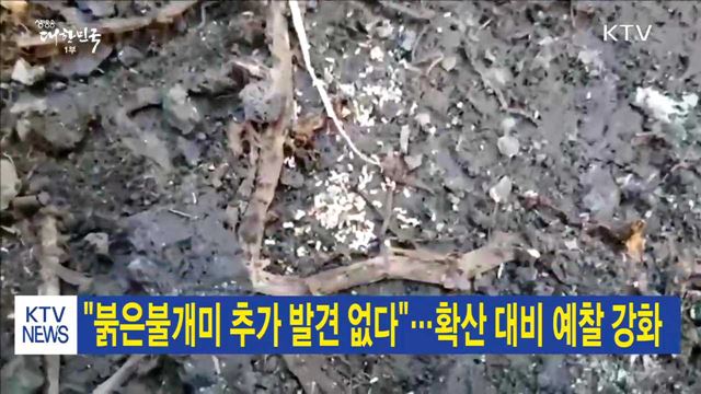 "붉은불개미 추가 발견 없다"…확산 대비 예찰 강화