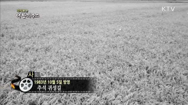 다시보는 대한늬우스 (83.10.05) 이미지