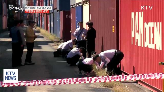 붉은불개미 추가 발견 없어…"위험성 꿀벌보다 낮아"