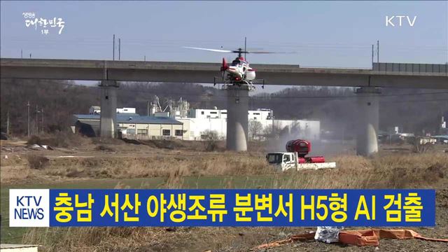 충남 서산 야생조류 분변서 H5형 AI 검출