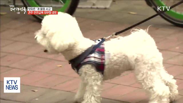 잇따른 '개 물림 사고'… 처벌 강화· 안전교육 검토