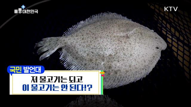 <국민발언대> 재해피해보험, 이 물고기는 되고 저 물고기는 안 된다?! <미니 정책시트콤> 안정된 노후 생활 보장 '노인돌봄종합서비스' <찾아라! 통통한 정책> 외식업 창업, 정책