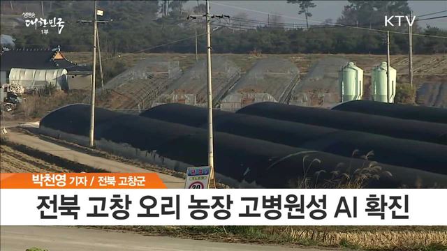 전북 이어 전남 순천만서도 AI 검출…방역 비상