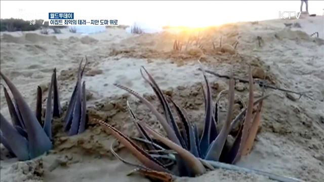 이집트 최악의 테러.. 치안 도마 위로 [월드 투데이]