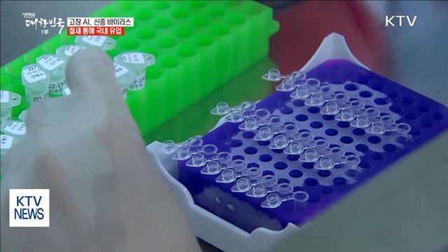 "전북 고창 AI, 신종 바이러스…철새로 국내 유입"