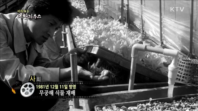 다시보는 대한늬우스 (81.12.11) 이미지