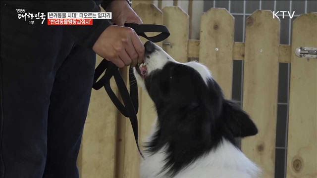 반려동물 시대! 떠오르는 일자리 '반려동물행동교정사' [사람中心 일자리가 뜬다]