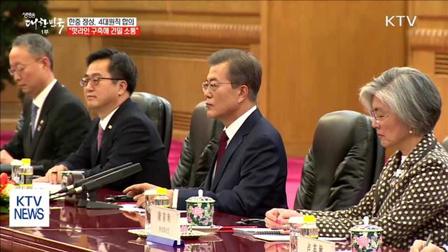 한중 정상, "한반도 4대 원칙 합의…핫라인 구축"