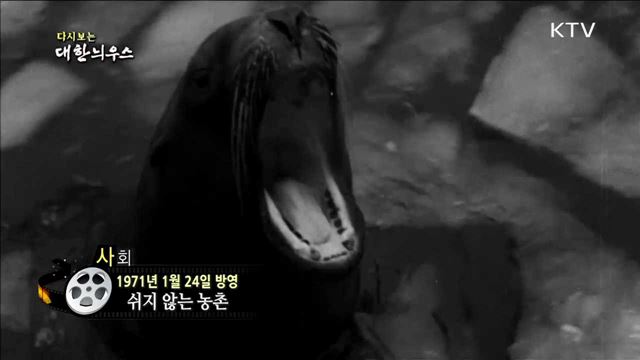 다시보는 대한늬우스 (71.01.24) 이미지