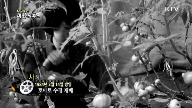 다시보는 대한늬우스 (84.02.14) 이미지