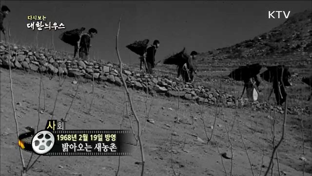 다시보는 대한늬우스 (68.02.19) 이미지