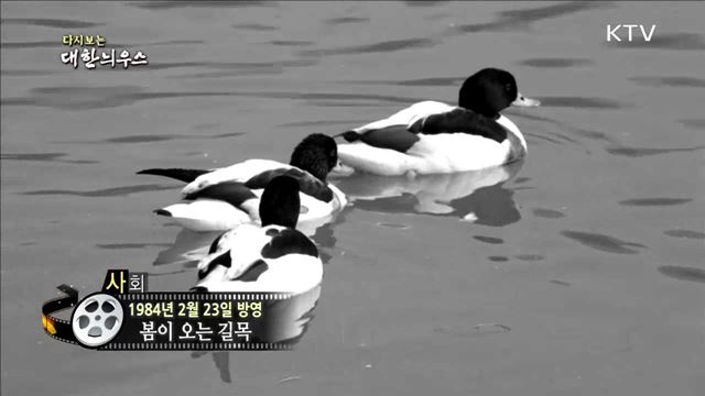 다시보는 대한늬우스 (84.02.23) 이미지