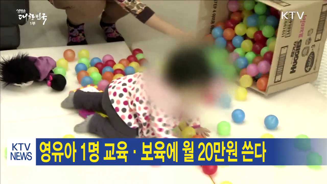 영유아 1명 교육·보육에 월 20만원 쓴다