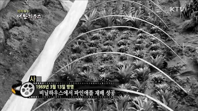 다시보는 대한늬우스 (69.03.13) 이미지
