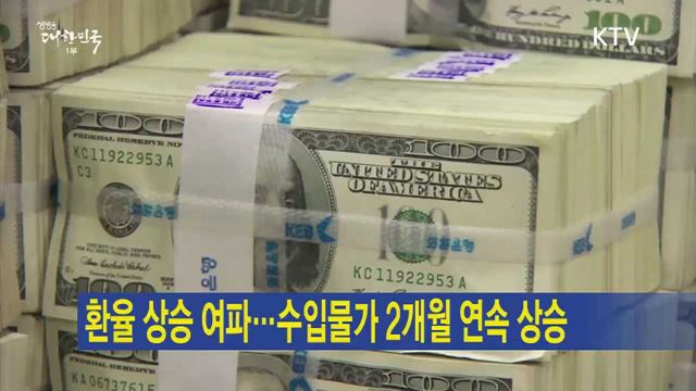 환율 상승 여파…수입물가 2개월 연속 상승