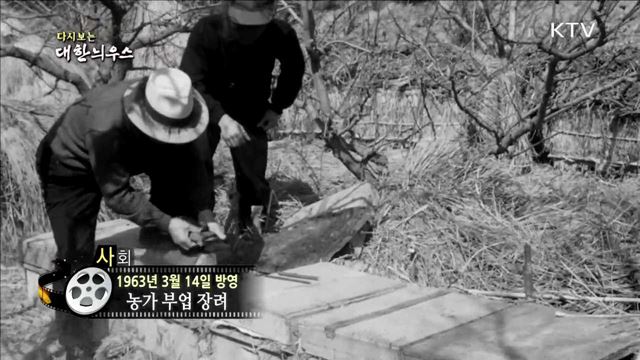 다시보는 대한늬우스 (63.03.14) 이미지