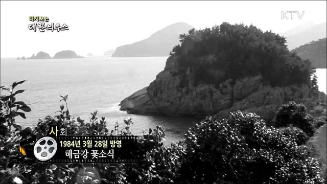다시보는 대한늬우스 (84.03.28) 이미지