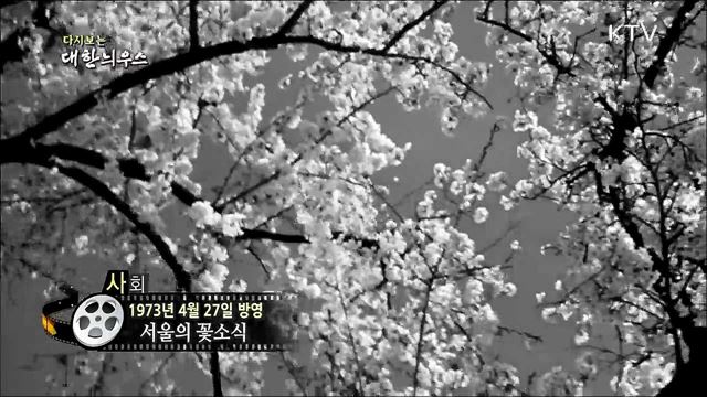 다시보는 대한늬우스 (73.04.27) 이미지