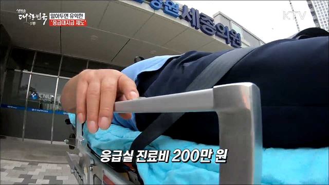 필요할 때 힘이 되어 주는 응급대지원제도 [돈이 보이는 정책]