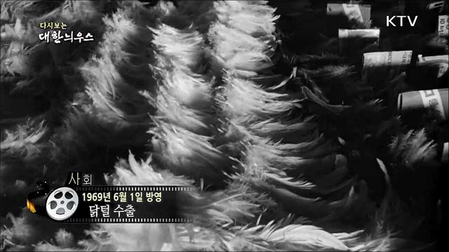 다시보는 대한늬우스 (69.06.01) 이미지