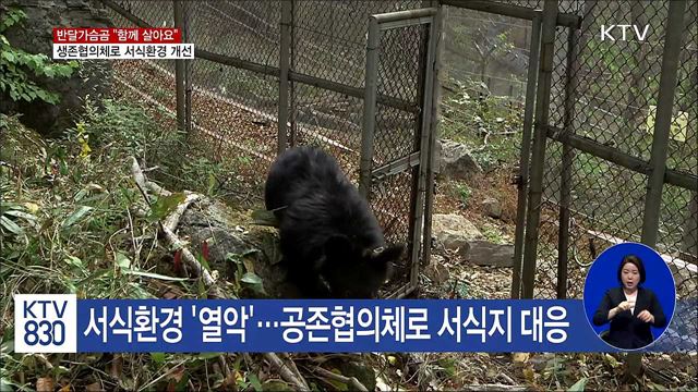 늘어난 반달가슴곰···공존협의로 "함께 살아요"