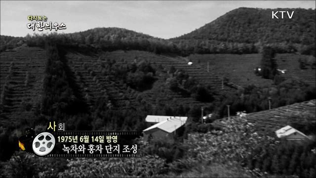 다시보는 대한늬우스 (75.06.14) 이미지