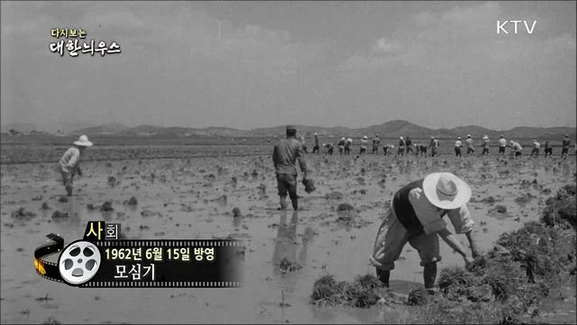 다시보는 대한늬우스 (62.06.15) 이미지