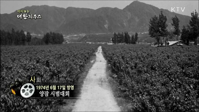 다시보는 대한늬우스 (74.06.17) 이미지