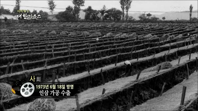 다시보는 대한늬우스 (73.06.18) 이미지