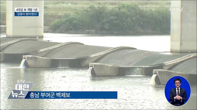 4대강 보 개방 1년···"강물이 맑아 졌다"