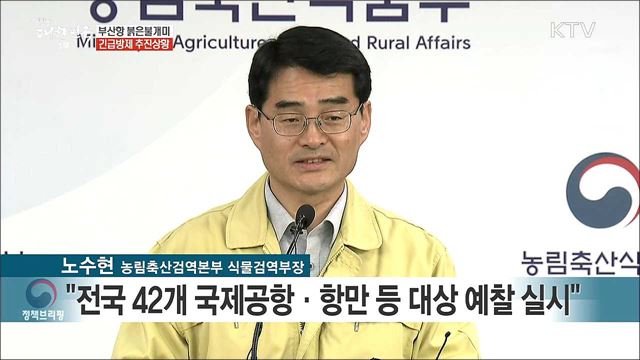 부산항 붉은불개미 긴급방제 추진상황