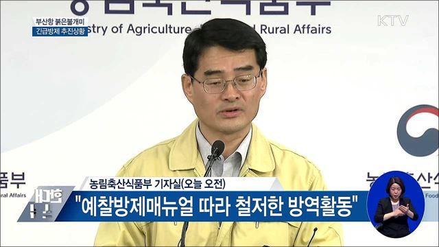 붉은불개미 긴급방제···"수입컨테이너 개장검사" [오늘의 브리핑]